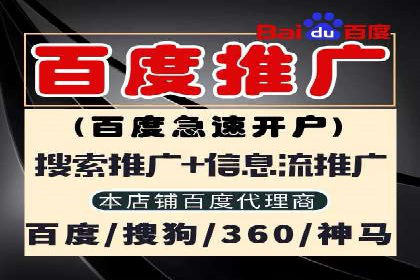 某某sem公司成功案例分享：从零到一的营销策略
